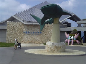 沖縄美ら海水族館．